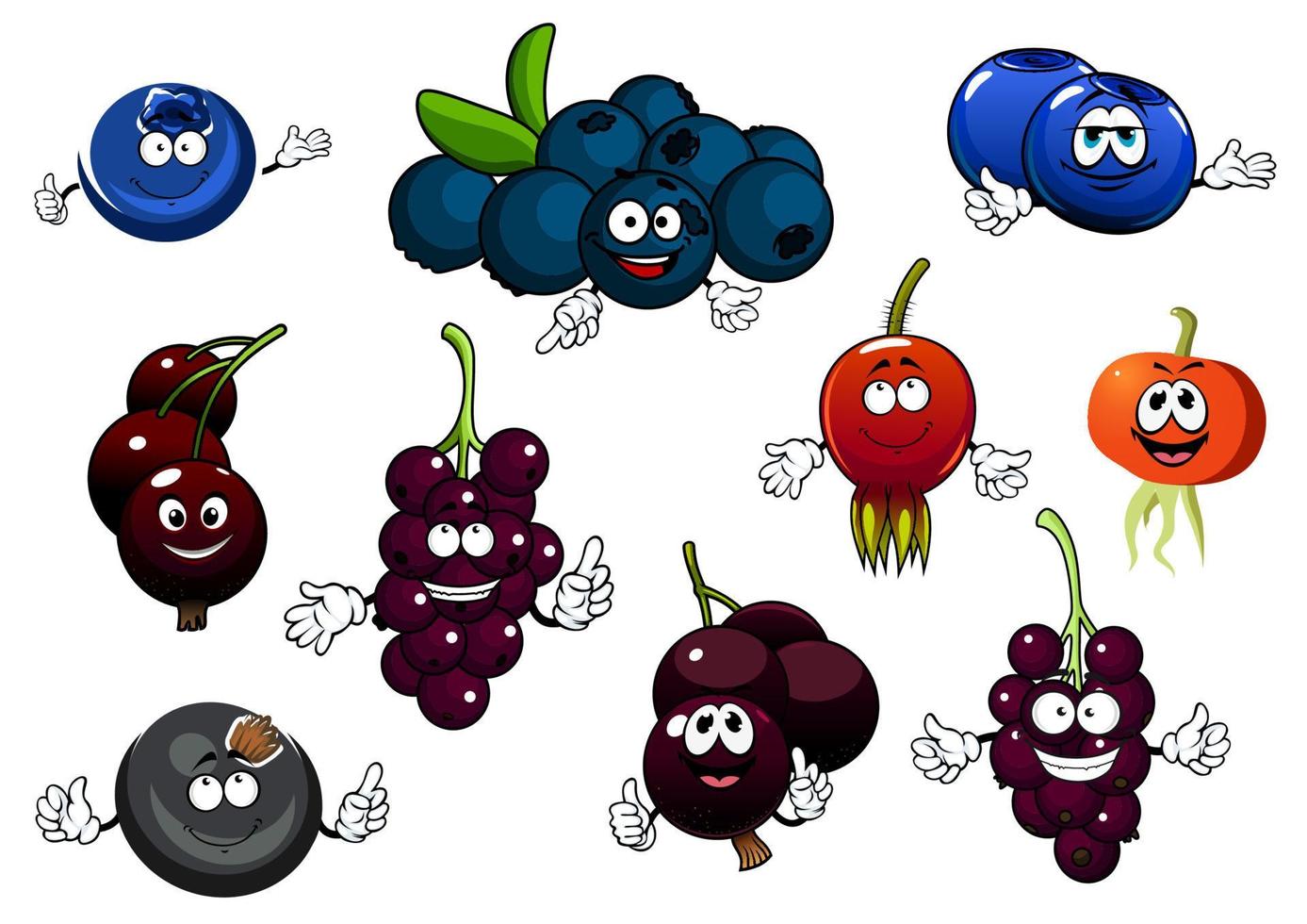 Black currant, blueberry and briar fruits vector