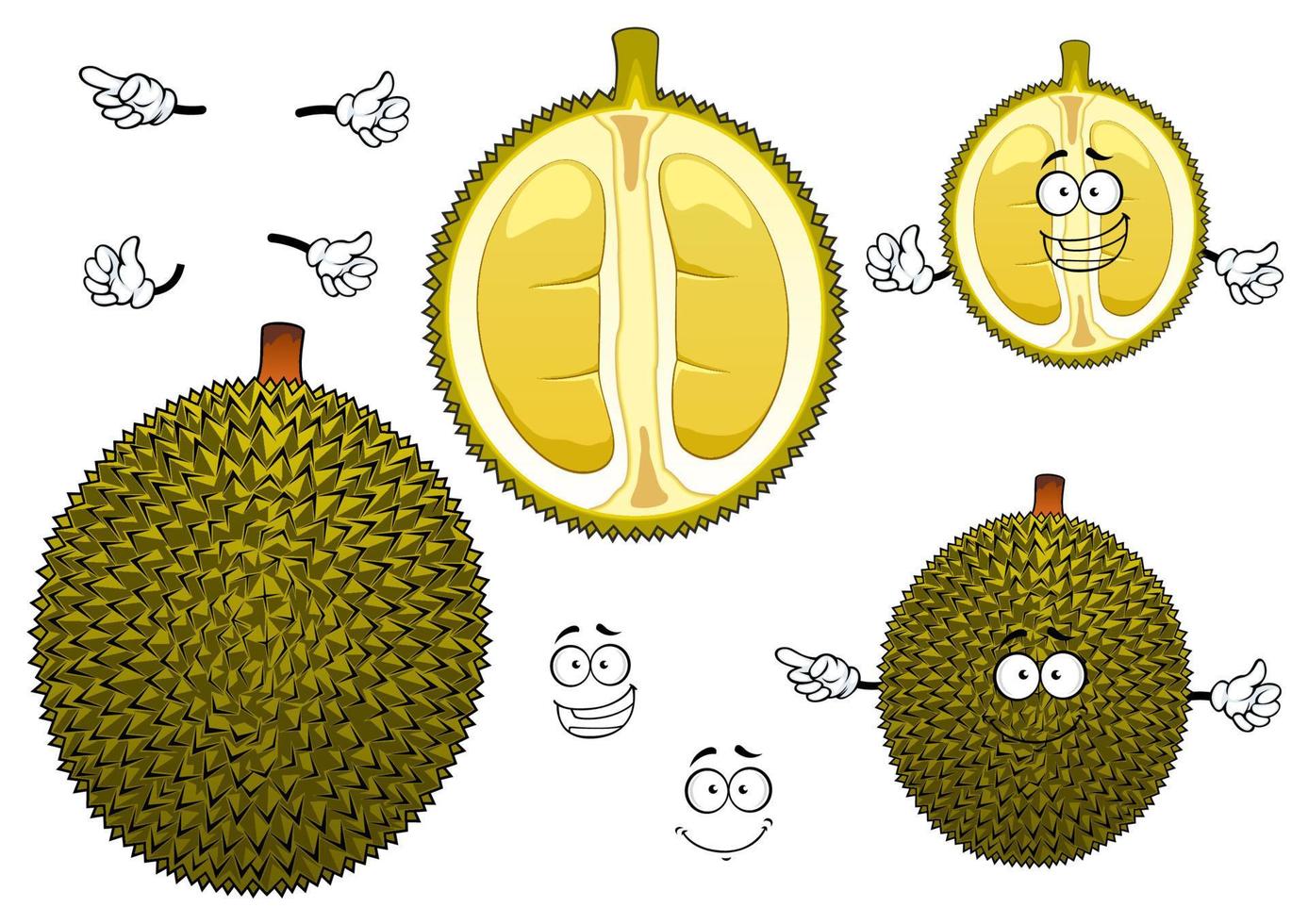 fruta durian verde maloliente tailandesa vector