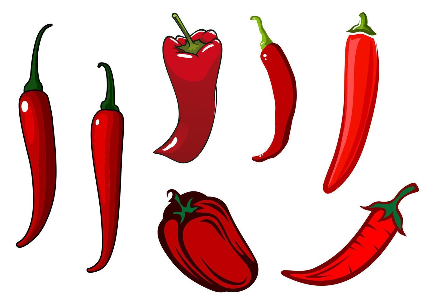 chile rojo picante, cayena y pimientos morrones vector