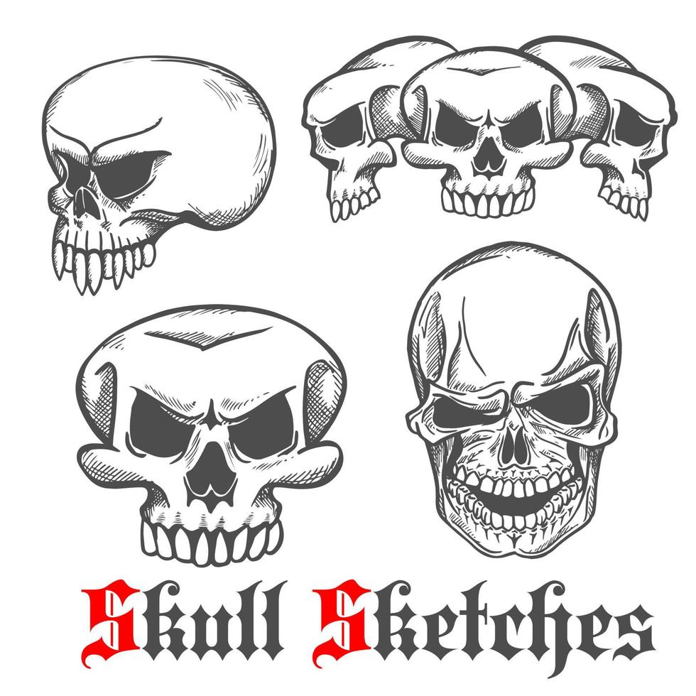 Human skulls and monster cranium sketches vector