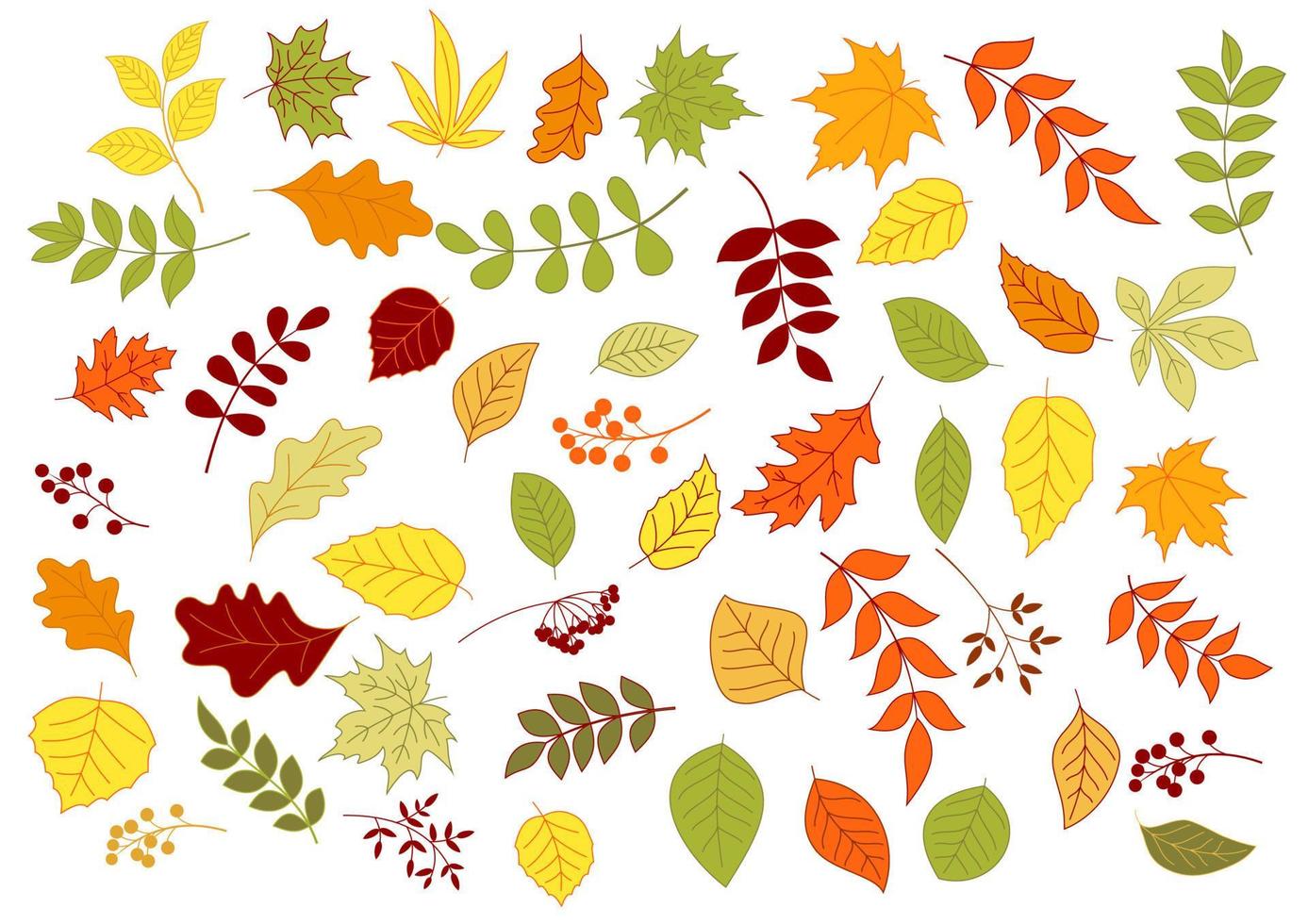 Autumnal leaves, herbs, seeds and berries vector