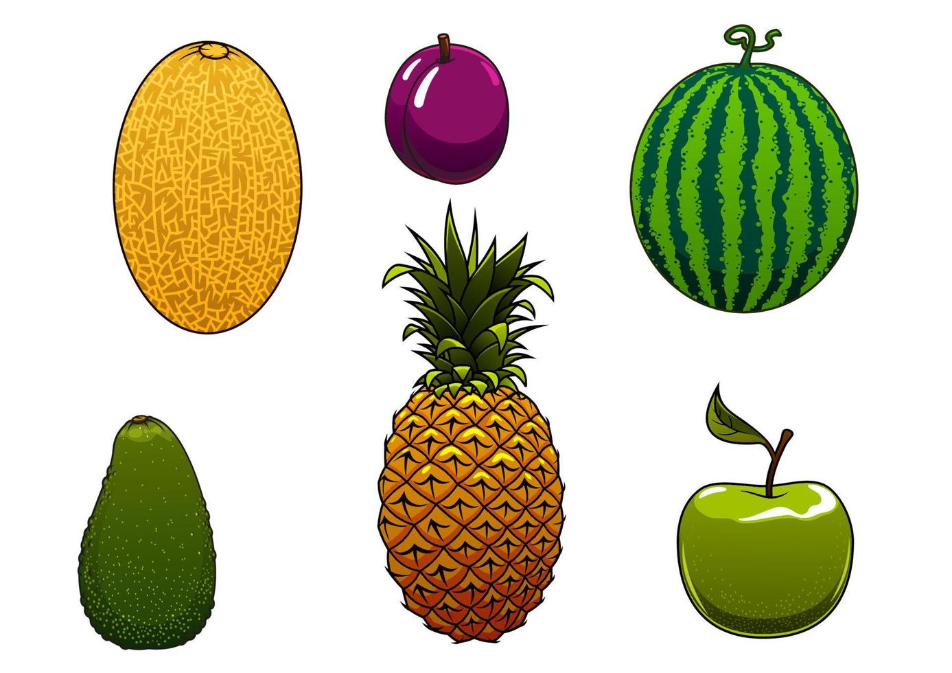 Ripe watermelon, apple and other fruits vector