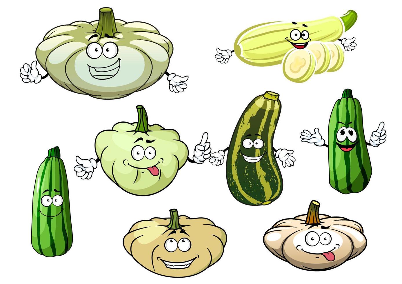 Zucchini, marrow and squash vegetables vector