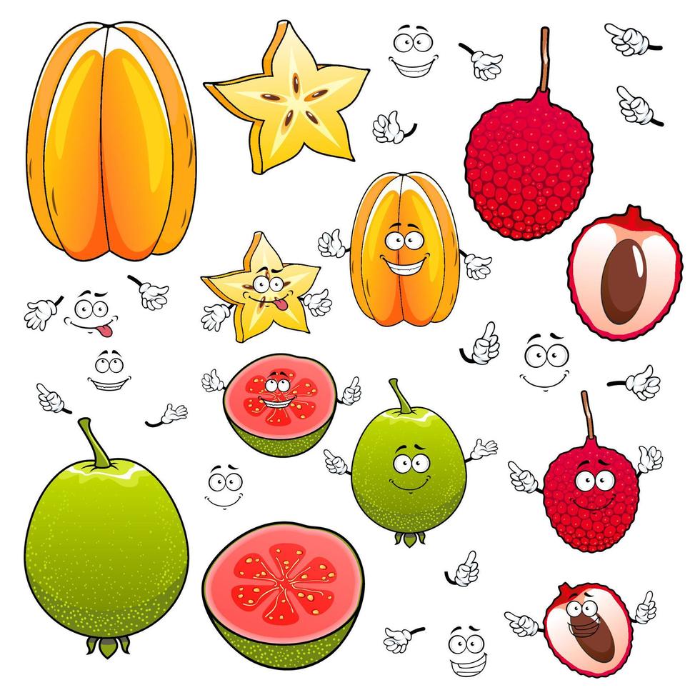 Cartoon carambola, lychee and apple guava fruits vector