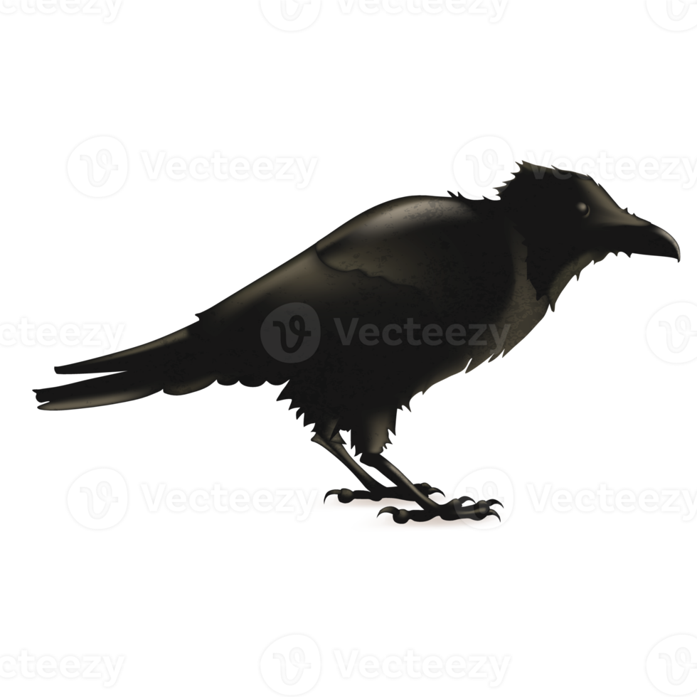 Holiday Halloween Decoration png