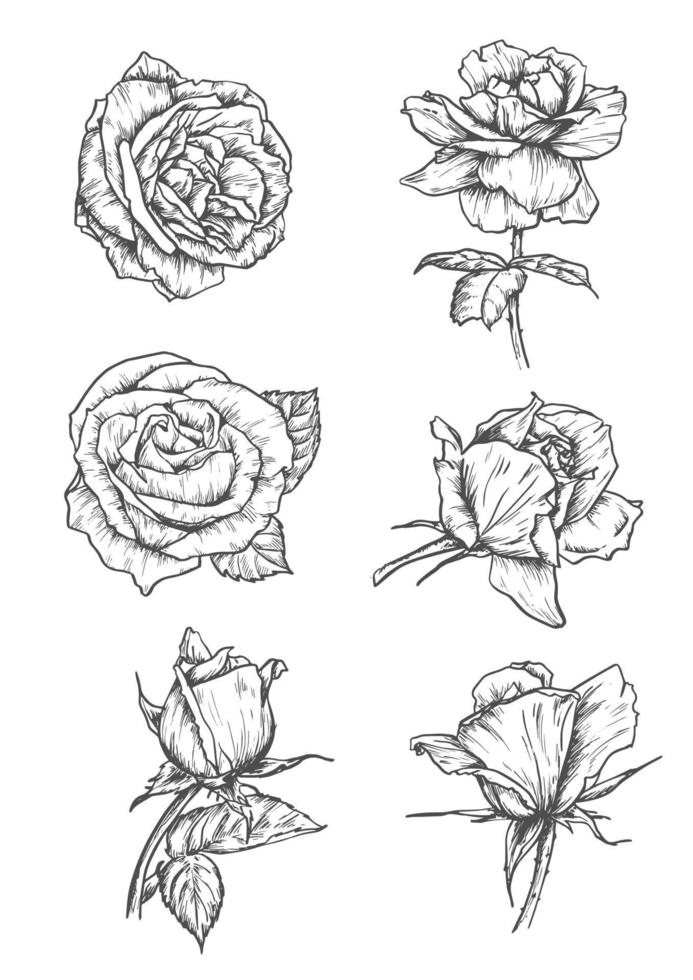 Rose buds icons. Flower sketch emblems vector