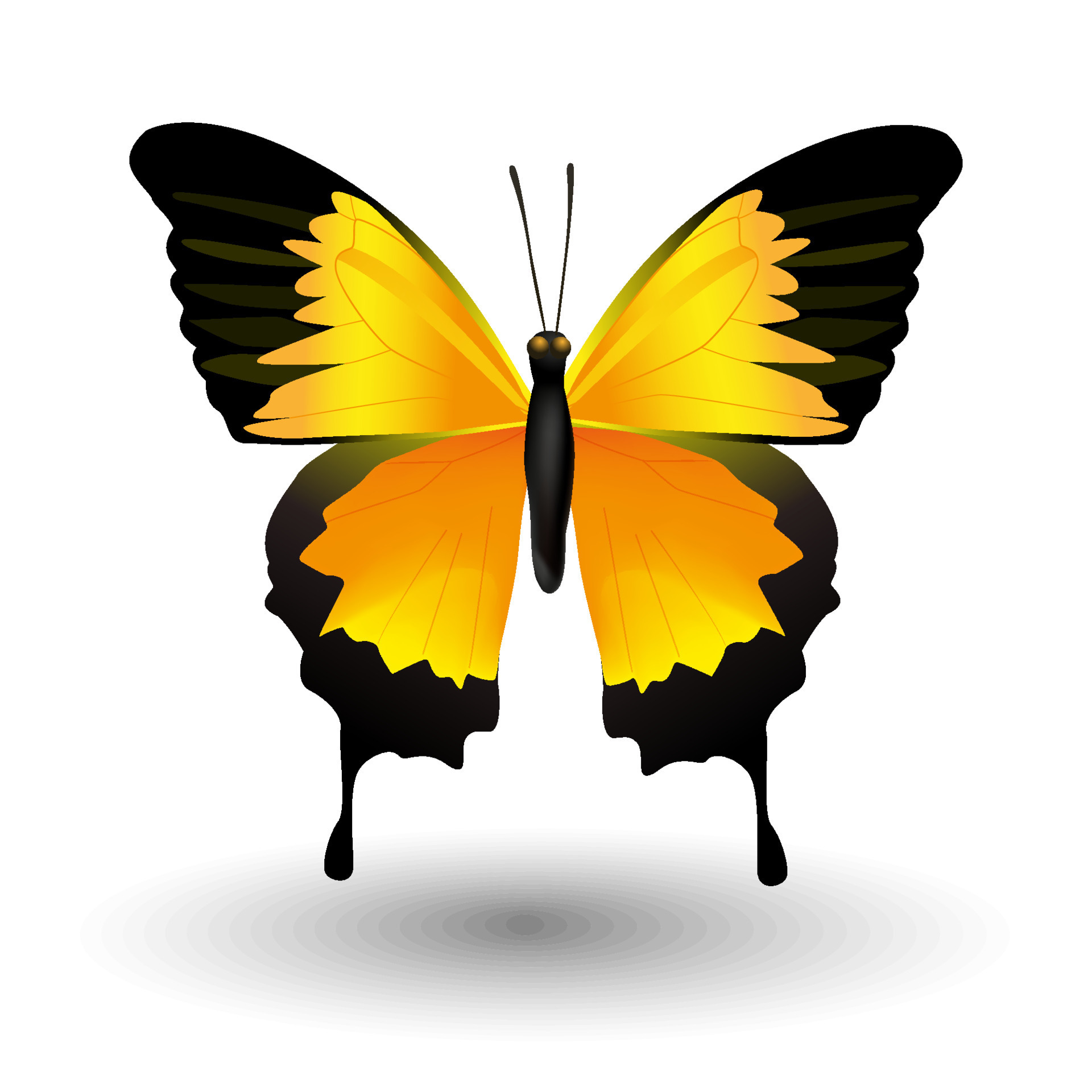 Butterfly icon. 3d realistic butterfly insect with beautiful orange yellow  color wings. animal sign for logo design, poster, t-shirt print, banner.  vector illustration isolated on white background 11665161 Vector Art at  Vecteezy