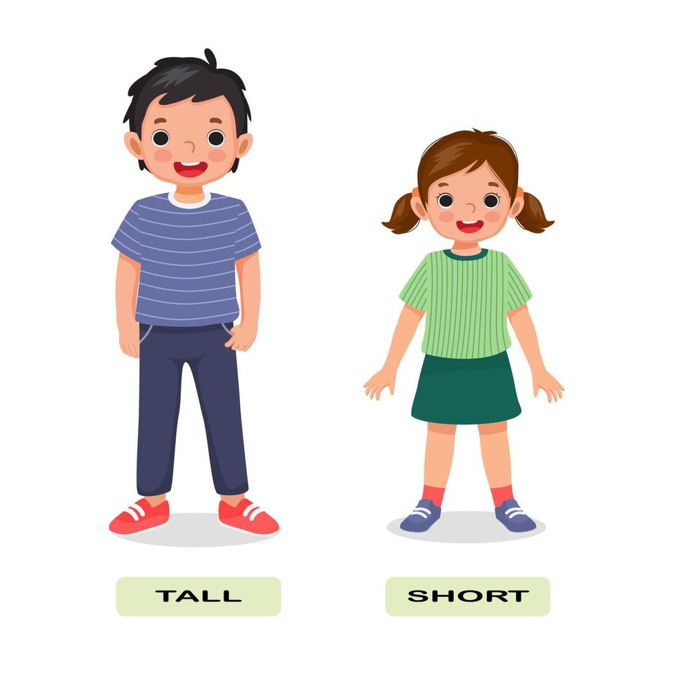 Tall and short man Royalty Free Vector Image - VectorStock