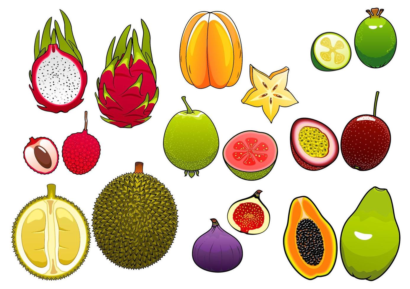 frutas tropicales frescas enteras y cortadas a la mitad vector