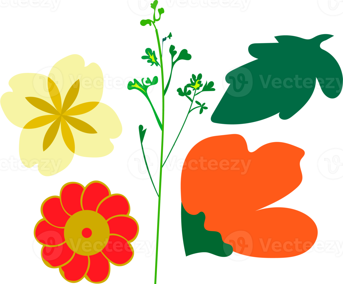 png éléments de conception ornementale florale