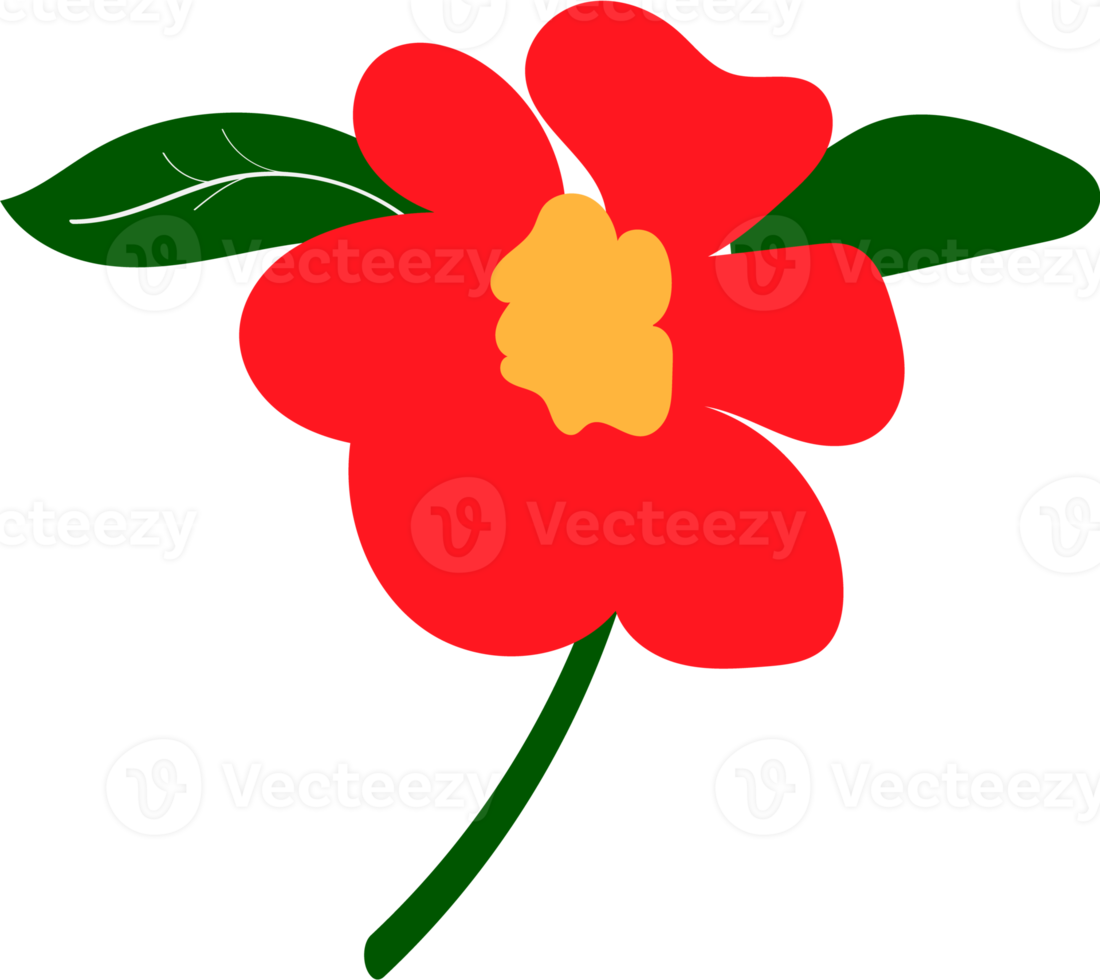 PNG bloemen sier- ontwerp elementen