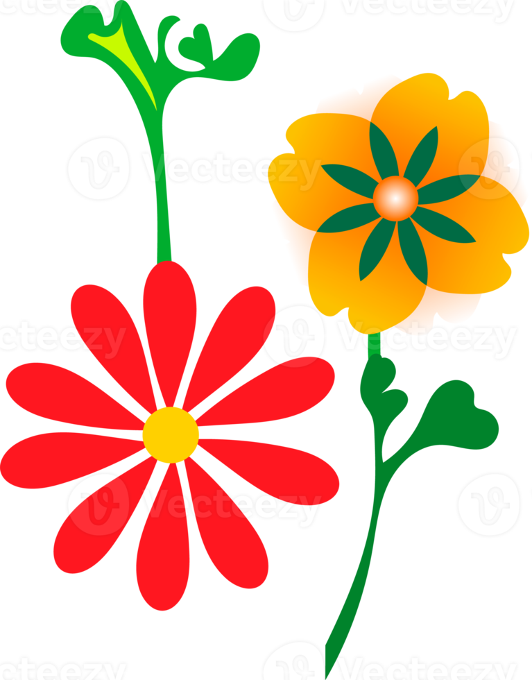 PNG bloemen sier- ontwerp elementen