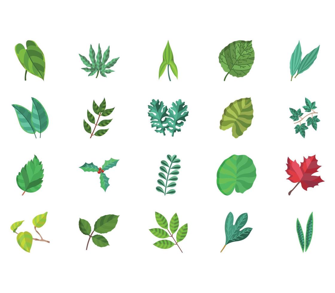 set of Leaf collection vector