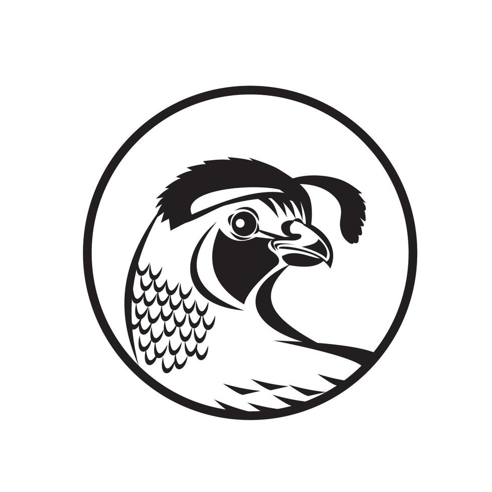 California Valley Quail Circle Black and White vector