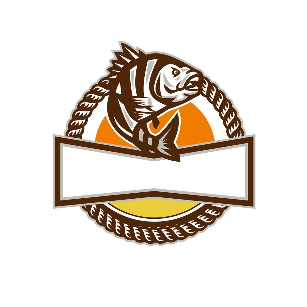 Sheepshead Fish Rope Circle Retro vector