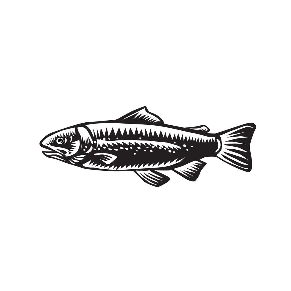 Sea Trout Spotted vector