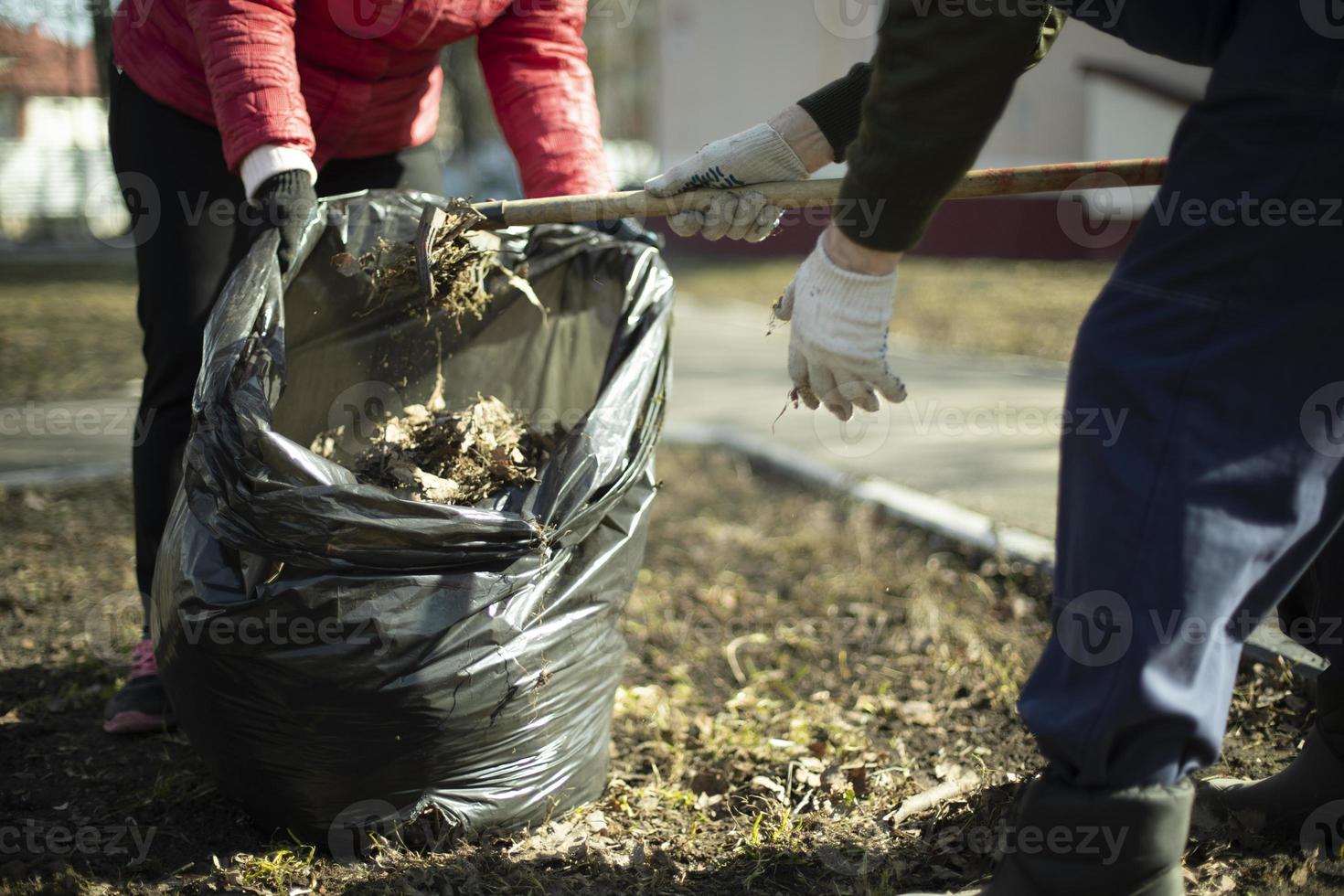 Harvesting leaves in bag. Putting things in order on street. photo