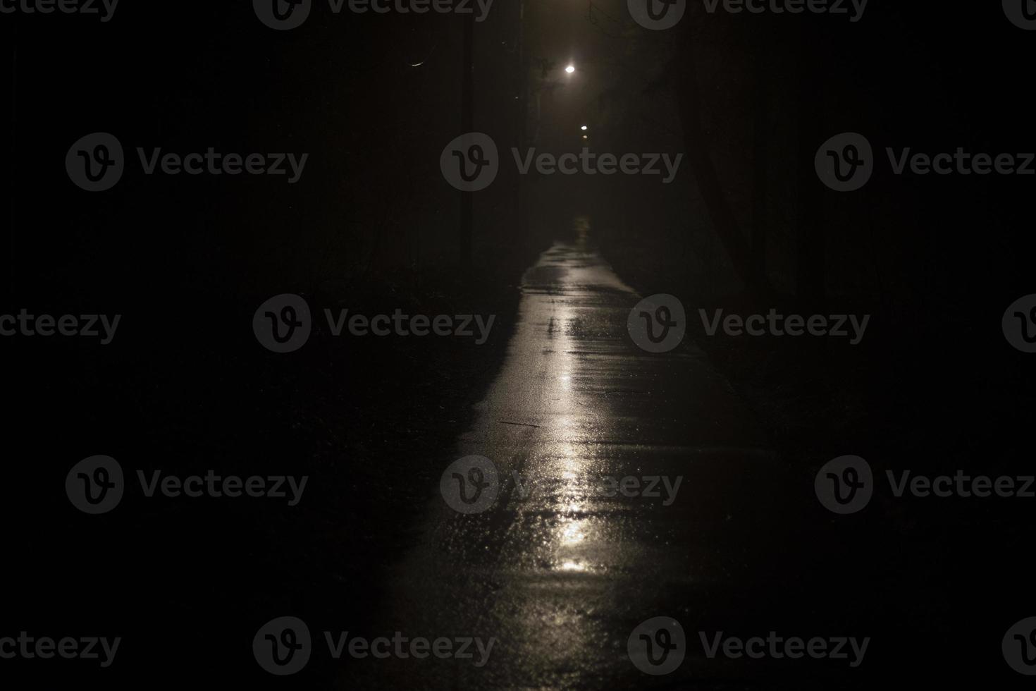 Light at night in park. Light on wet road in dark. It's scary park. photo