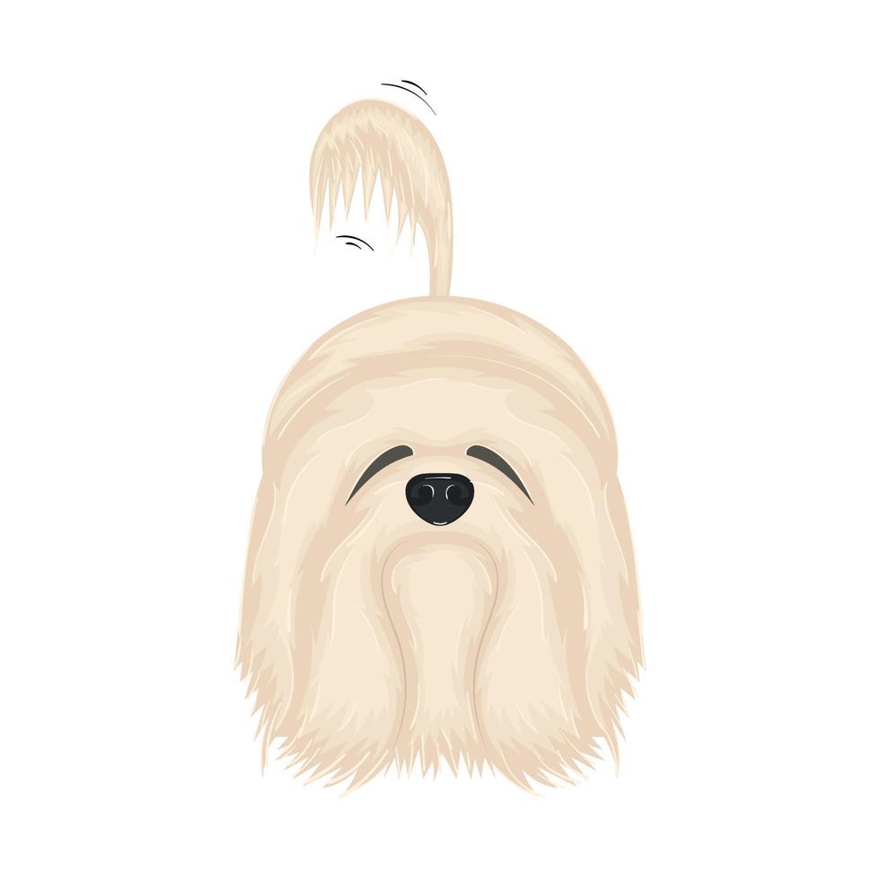 Ilustración de vector de personaje de dibujos animados de perro esponjoso blanco lindo aislado