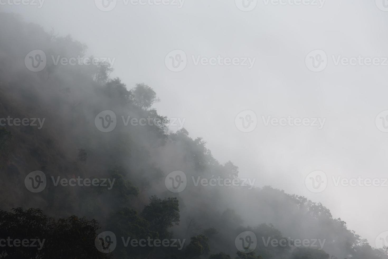Beautiful view of mountains and white mist photo