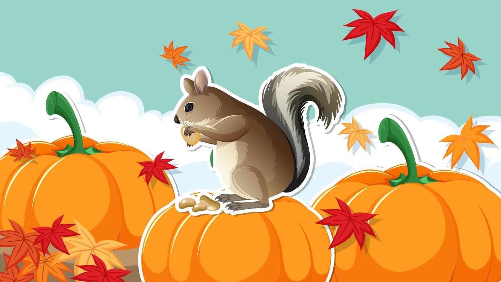 Squirrel on pumpkin background vector