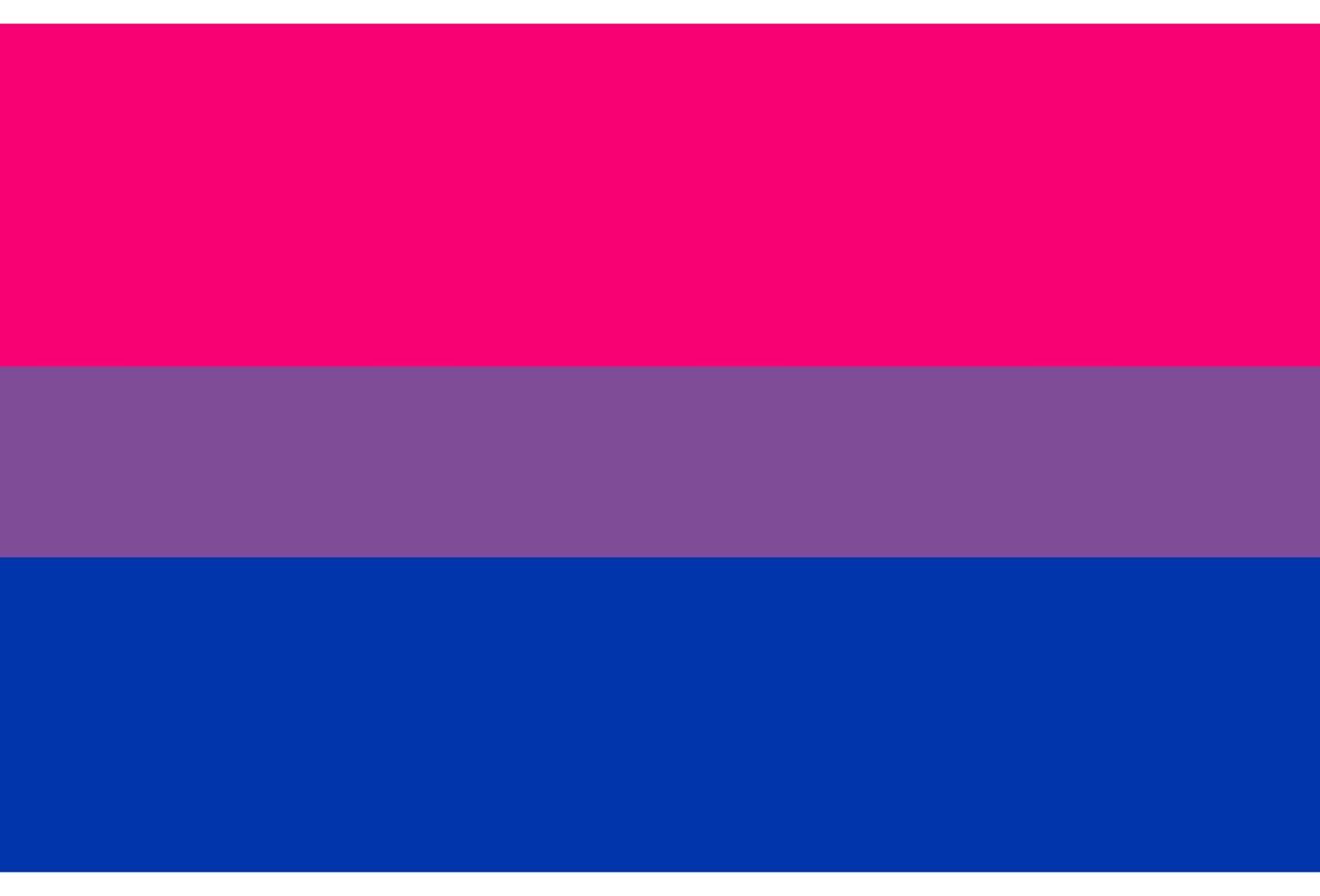 LGBT pride flag, rainbow flag background. Multicolored peace flag movement. Original colors symbol. vector