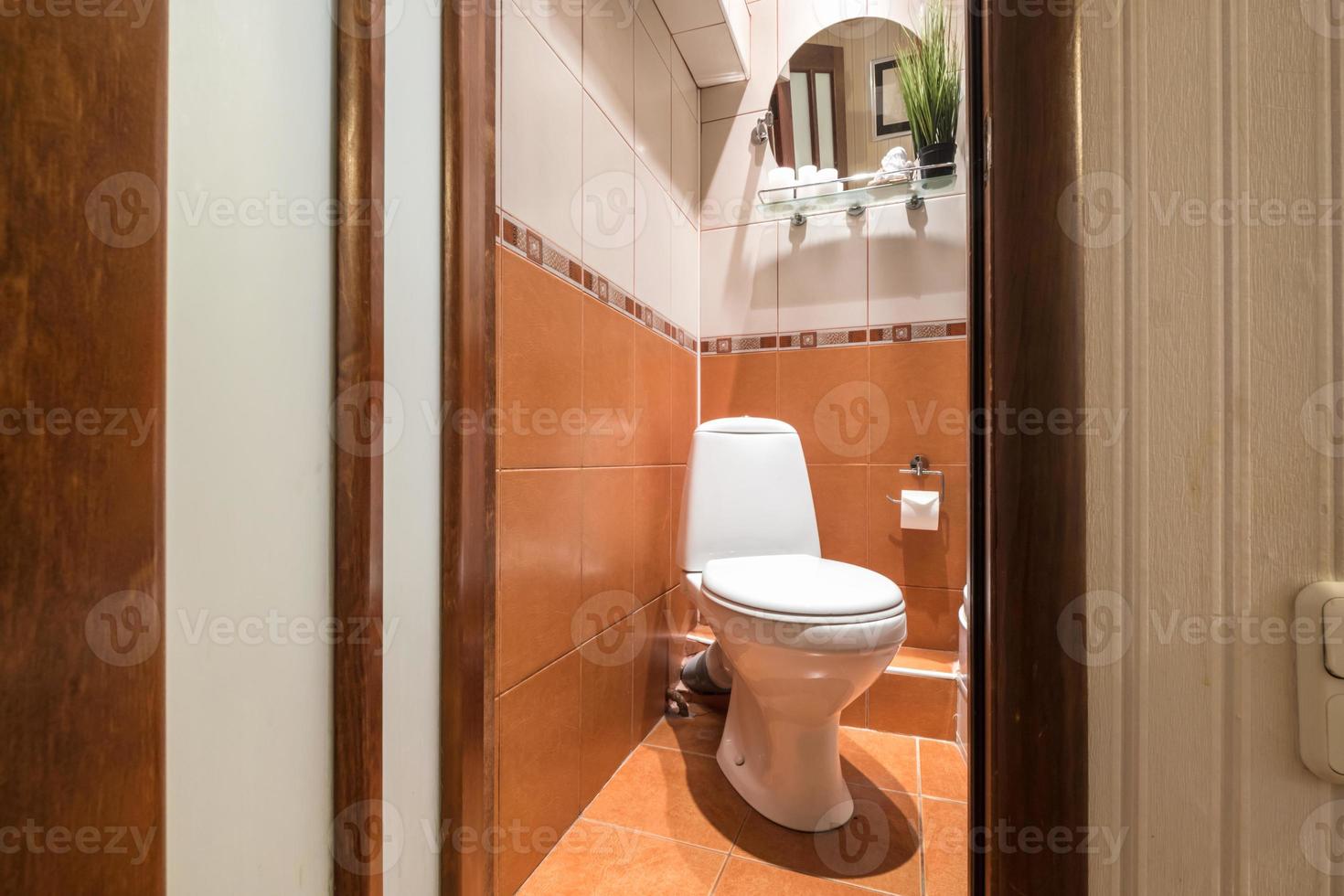 toilet and detail of a corner shower cabin with wall mount shower attachment photo