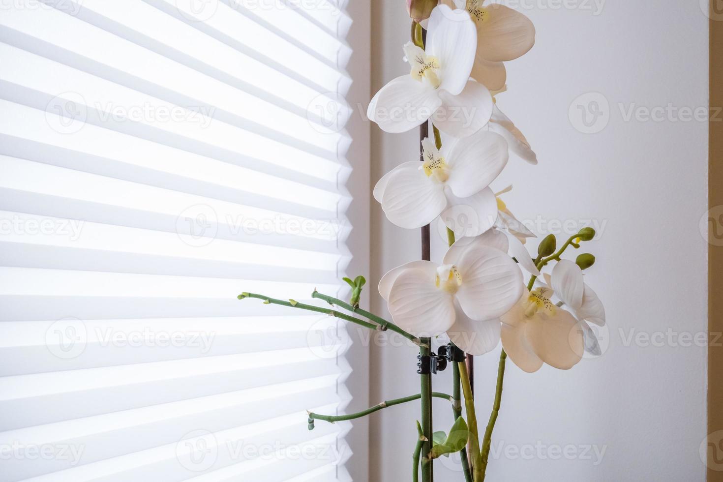 jarrón con un ramo de flores en el interior foto