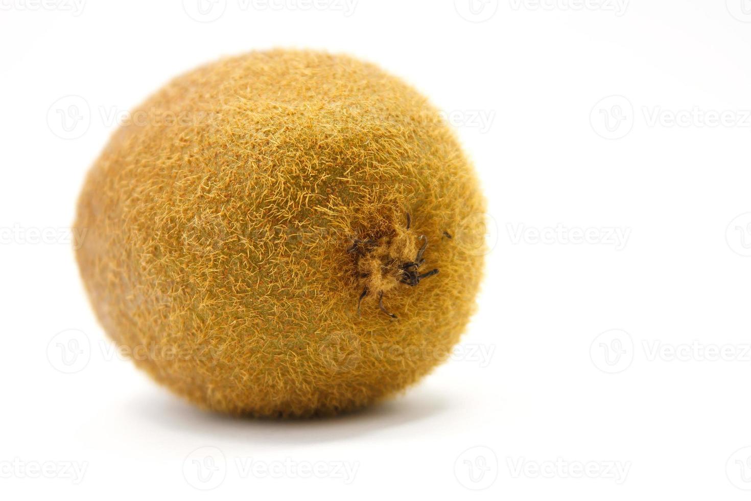 Kiwi fruit isolated on white background photo