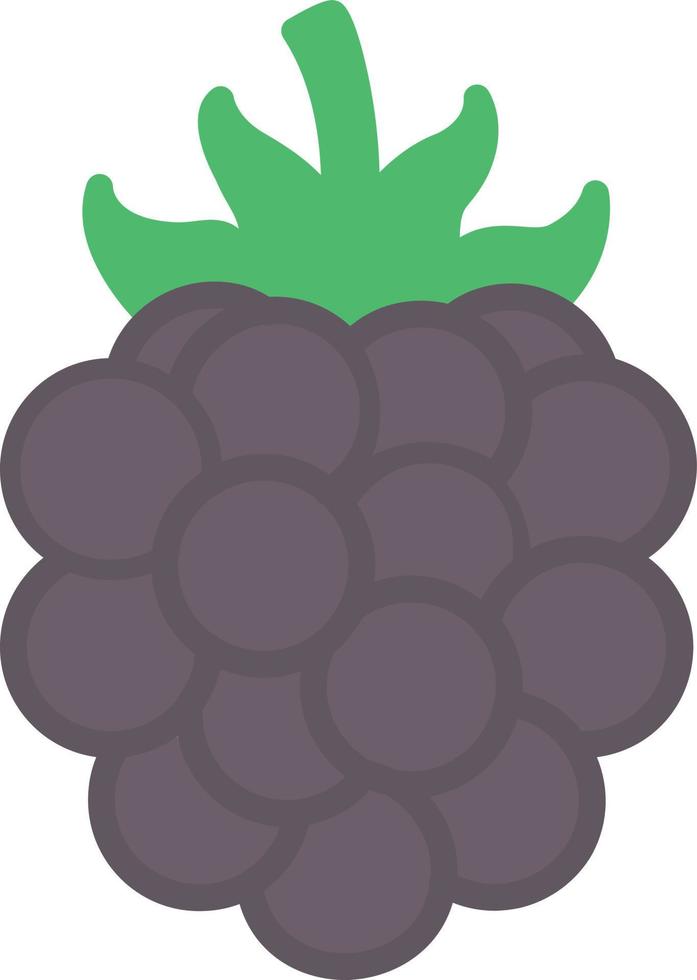 Blackberry Flat Icon vector