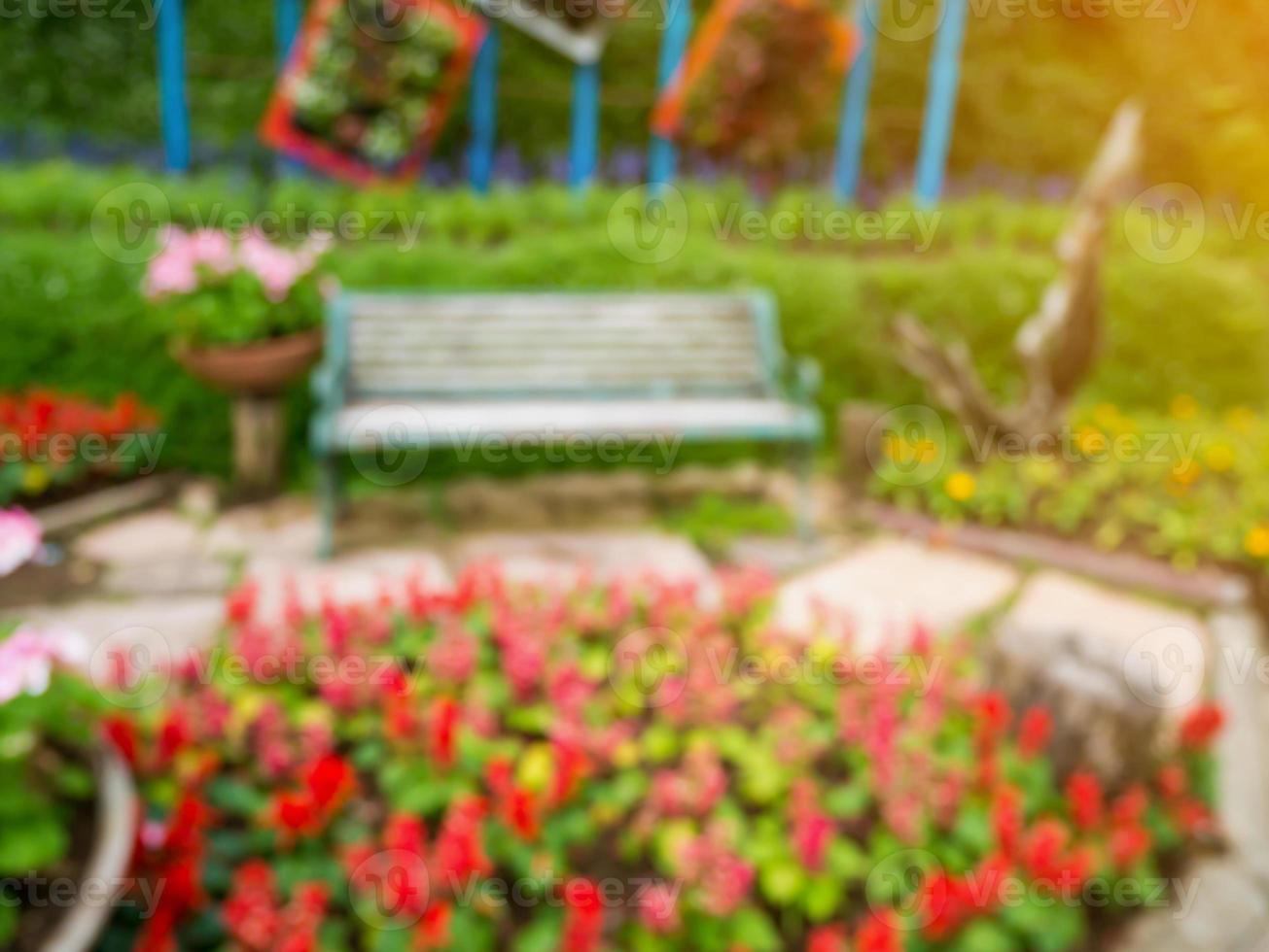 blur bench in the park summer time natural background photo