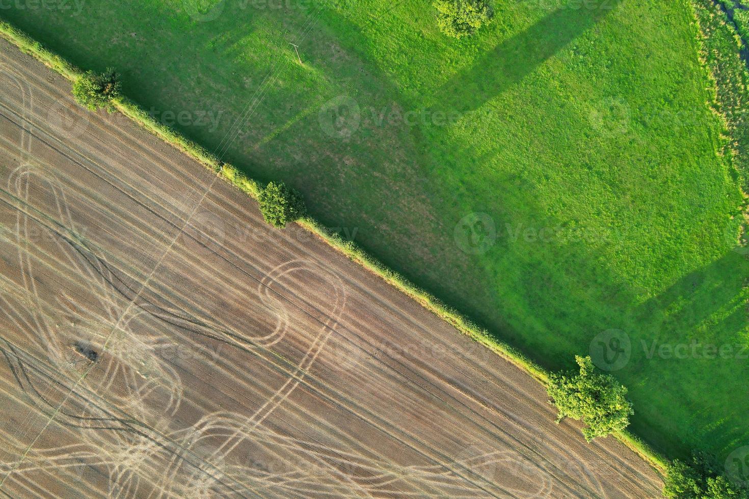 High angle view of cows grazing on field against sky. Gorgeous high angle aerial view of Animal Farm at British Agricultural Field Near London England Great Britain of UK photo