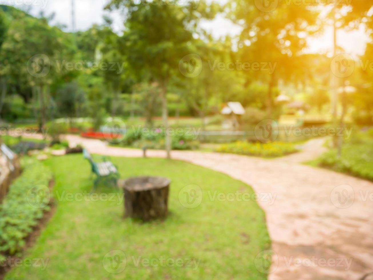 Walkway in the flowers garden blur background 11673481 Stock Photo at  Vecteezy