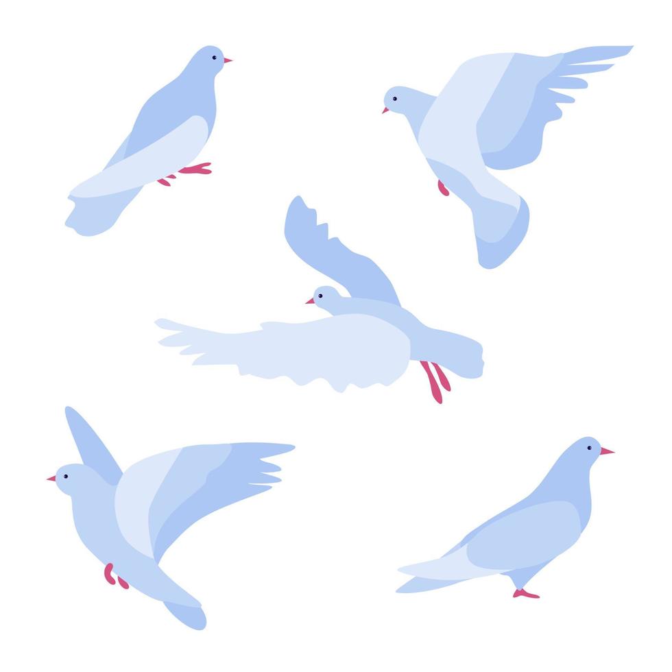 Set of five flat simplified abstract doves. Bird of peace for design cards and banners, peace and love symbol, pigeon different poses, stay and fly with open wings vector illustration