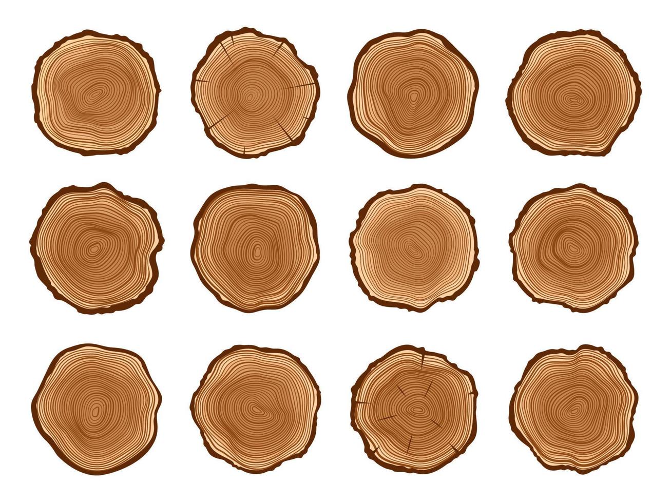 Tree trunks, wood cut stumps with annual circles vector