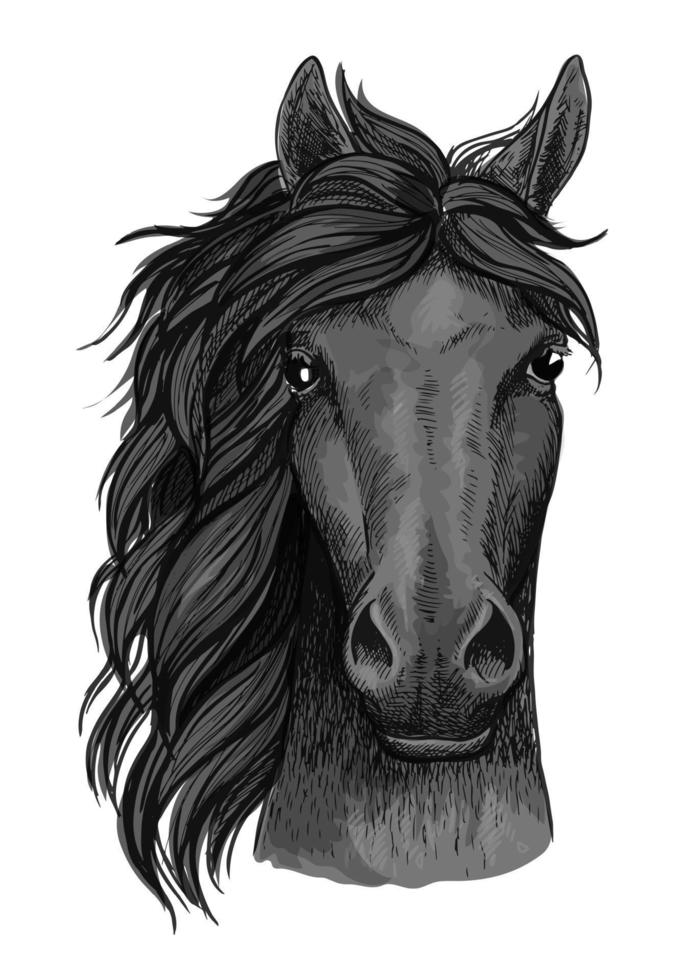 Black raven horse full face artistic portrait vector