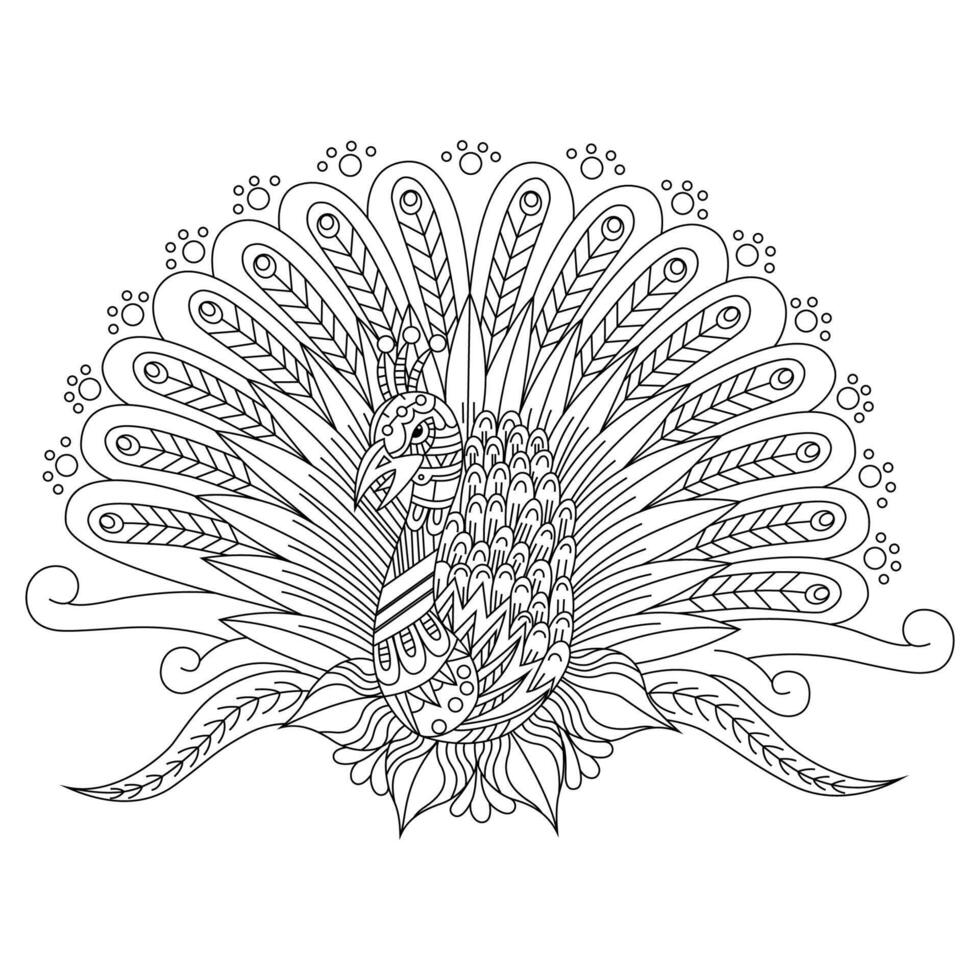 Peacock line art vector