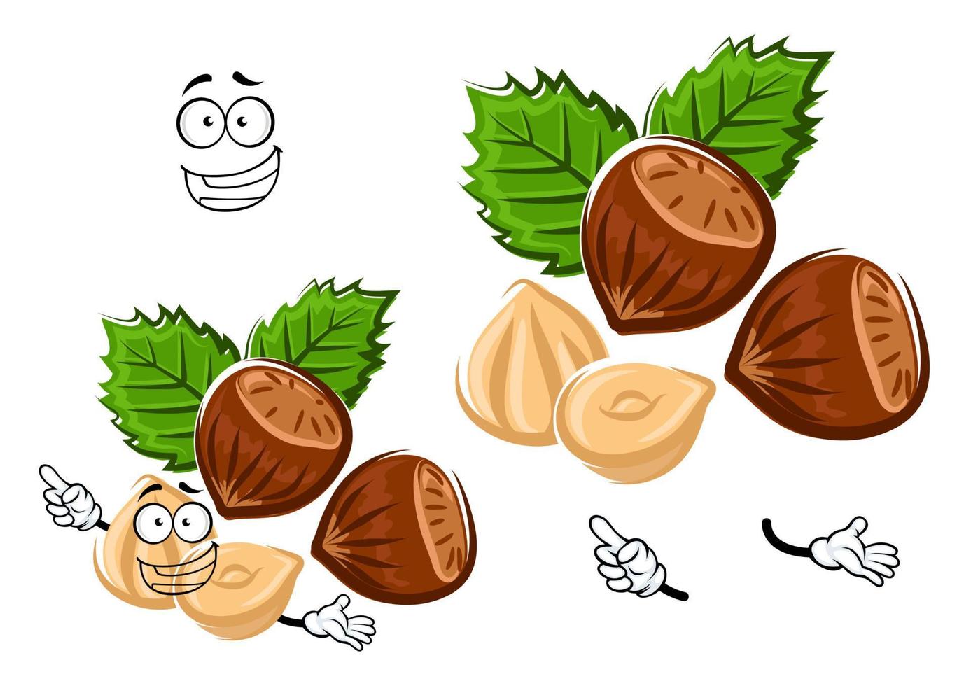 Cartoon isolated hazelnut with brown nuts vector