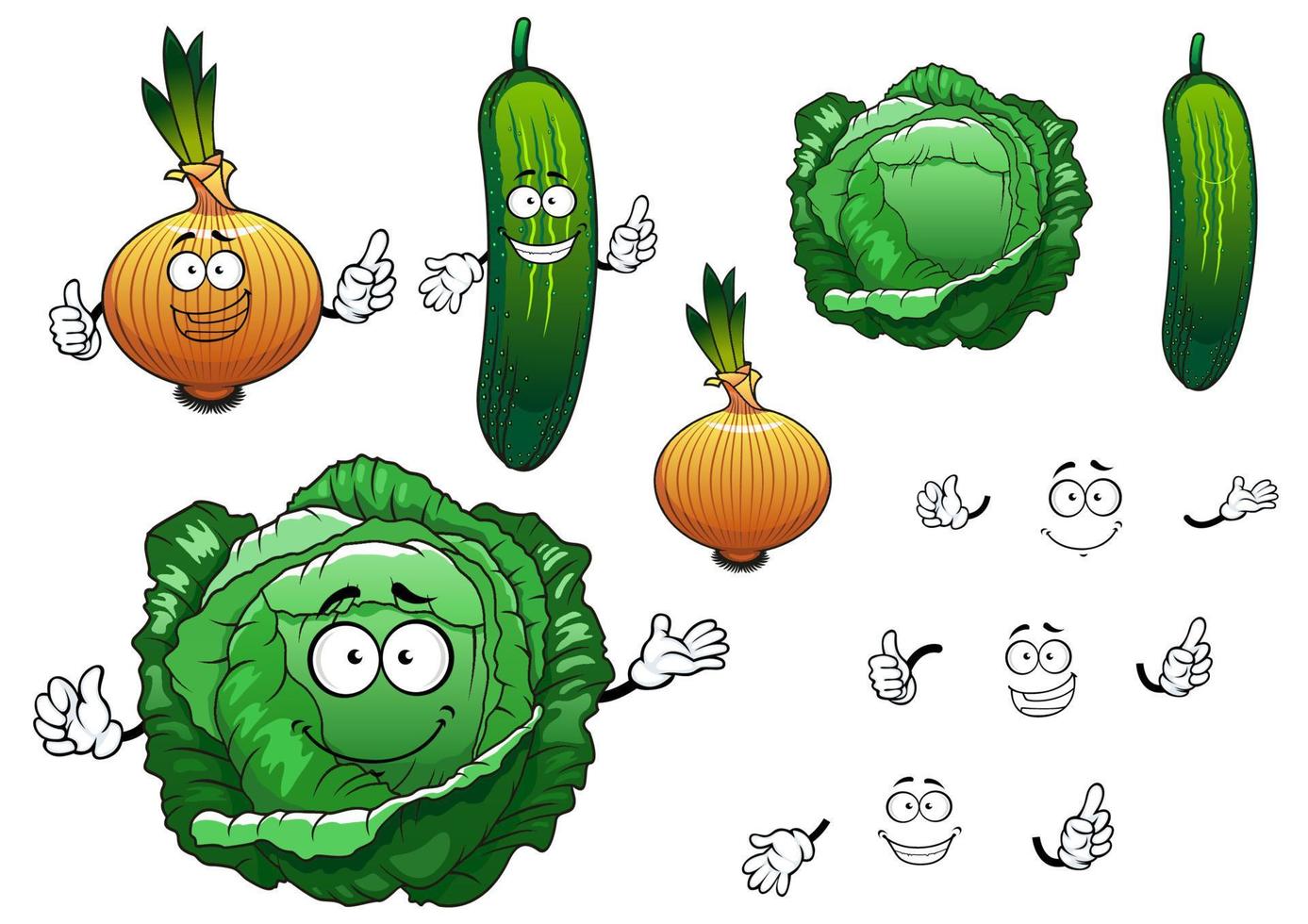 Cabbage, cucumber and onion vegetables vector
