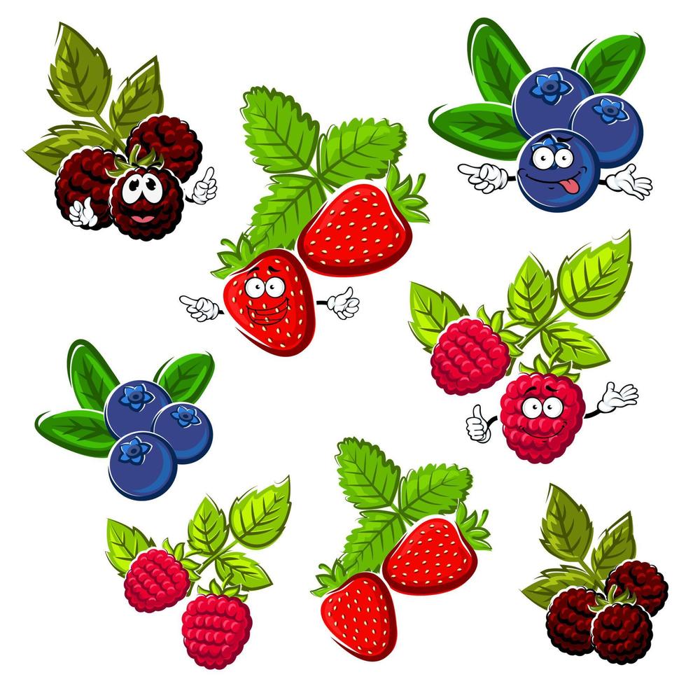 Strawberry, raspberry, blueberry and blackberry vector