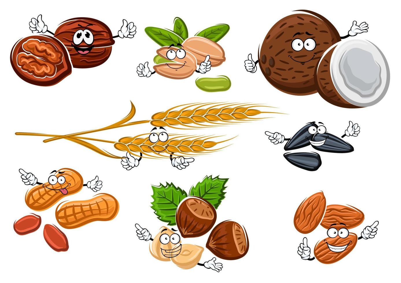 Isolated nuts, seeds and cereal ears vector