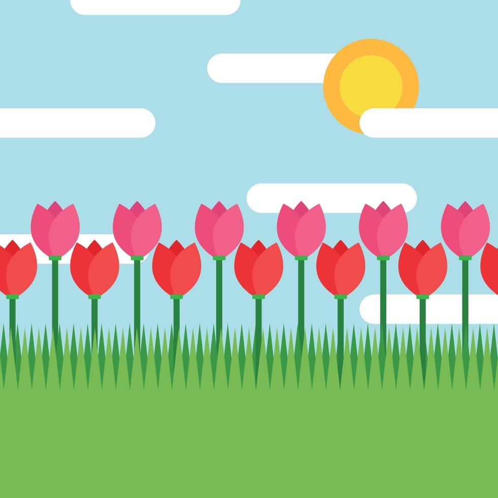Background of a Tulip Field vector