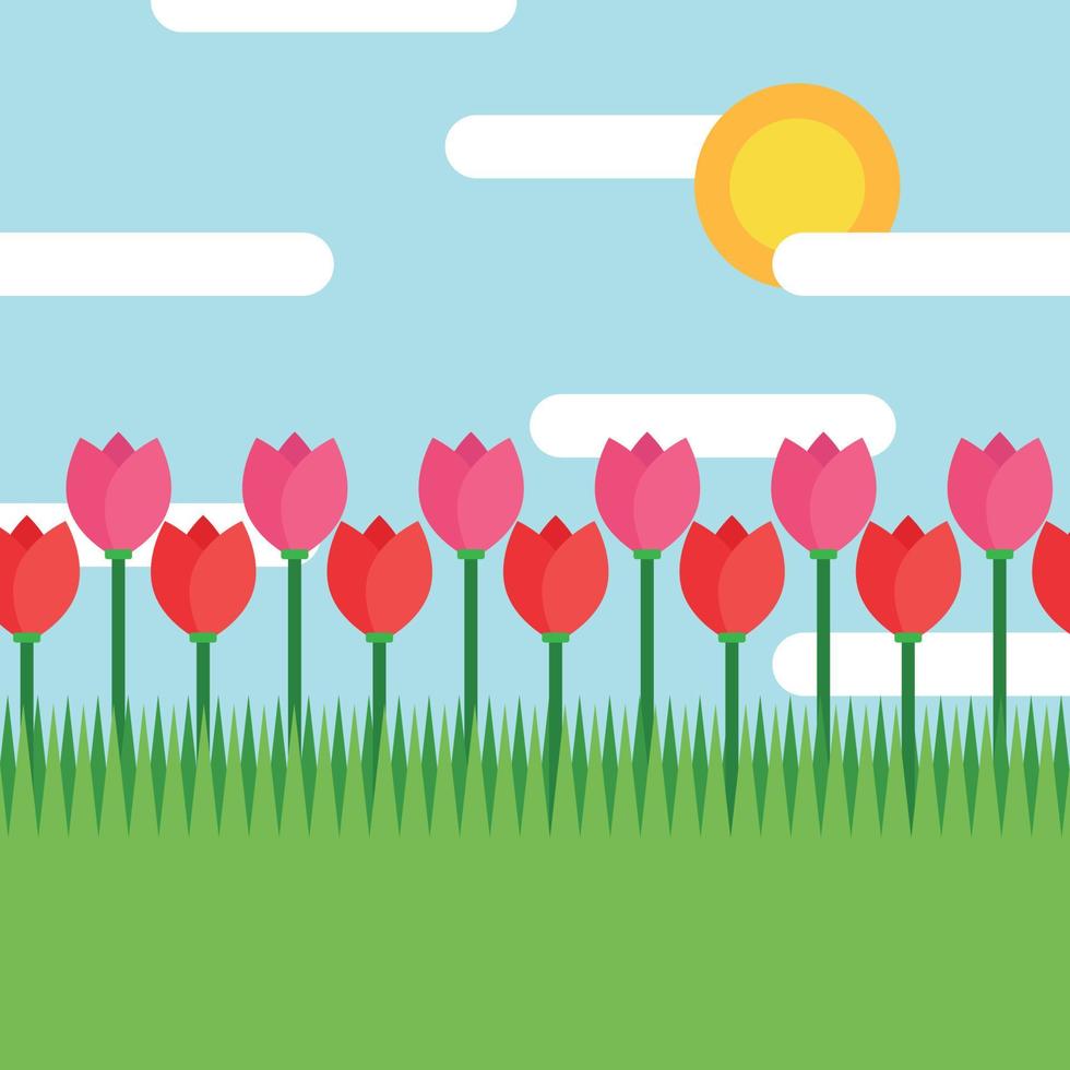 fondo de un campo de tulipanes vector