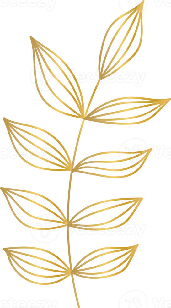 Golden Flower Leaf png