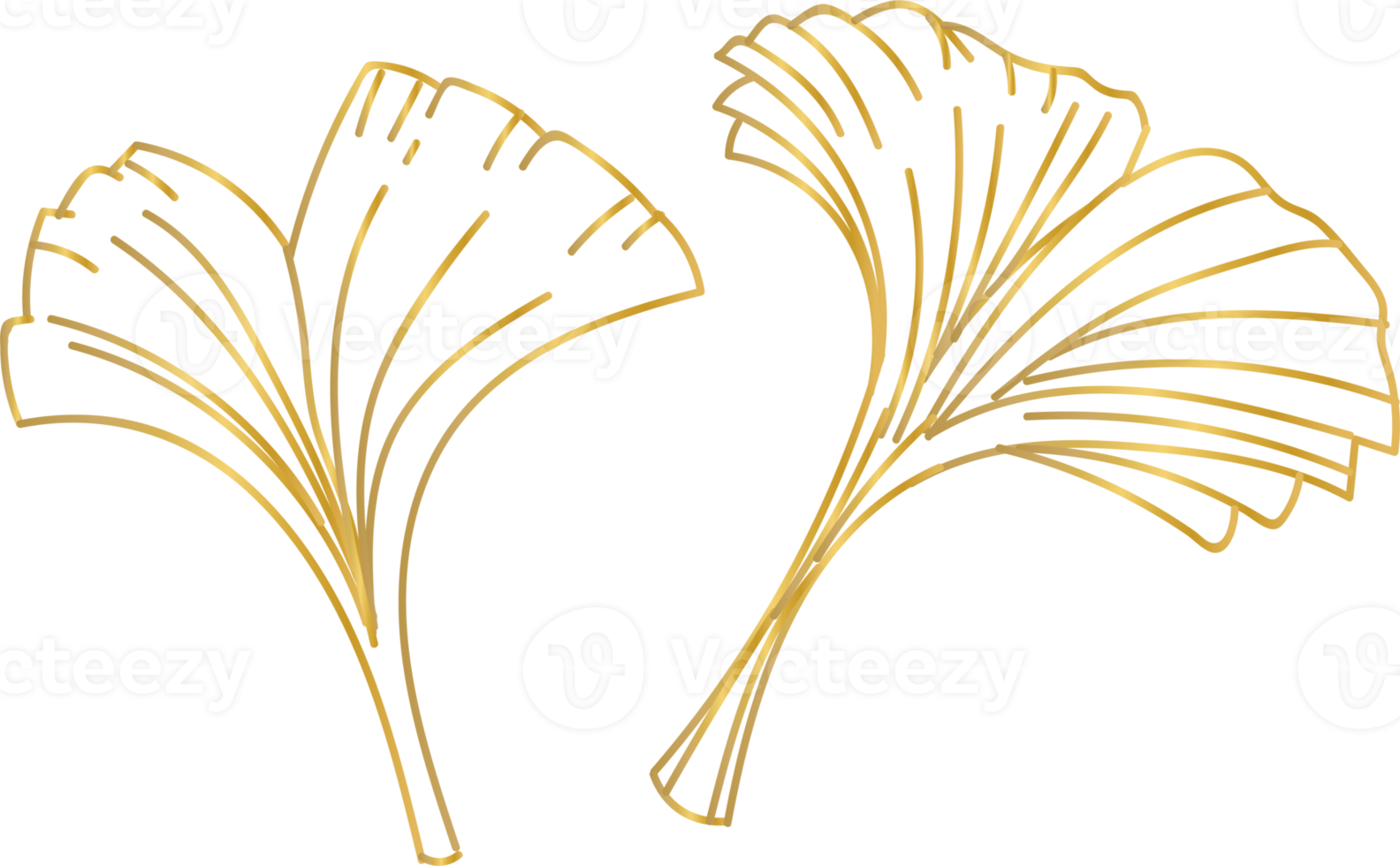 Golden Flower Leaf png