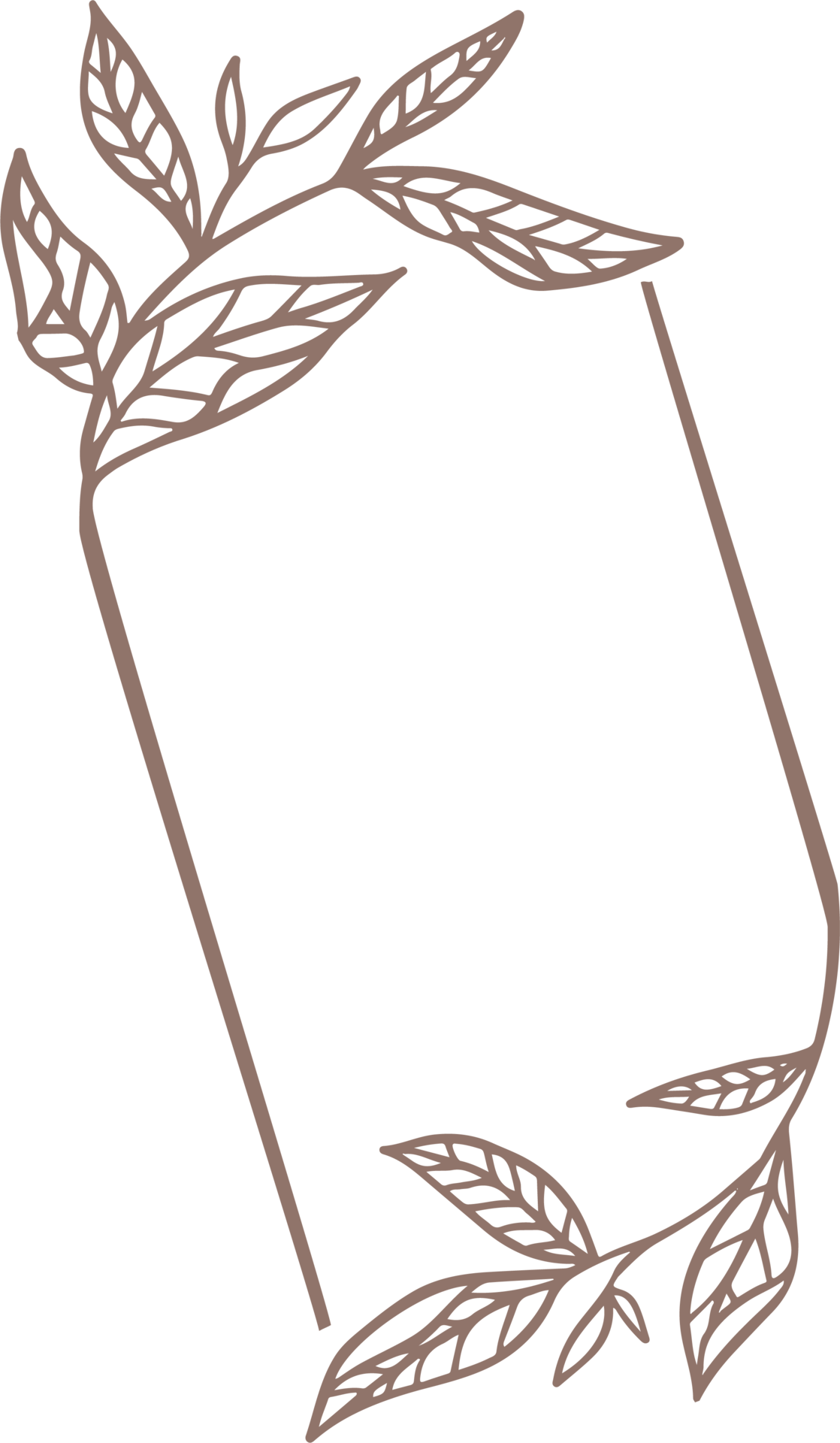 floral frames art 11675019 PNG