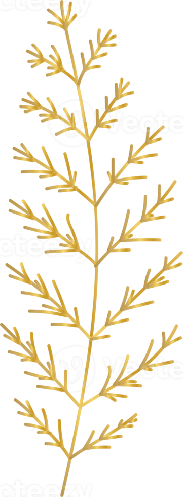 Golden Flower Leaf png