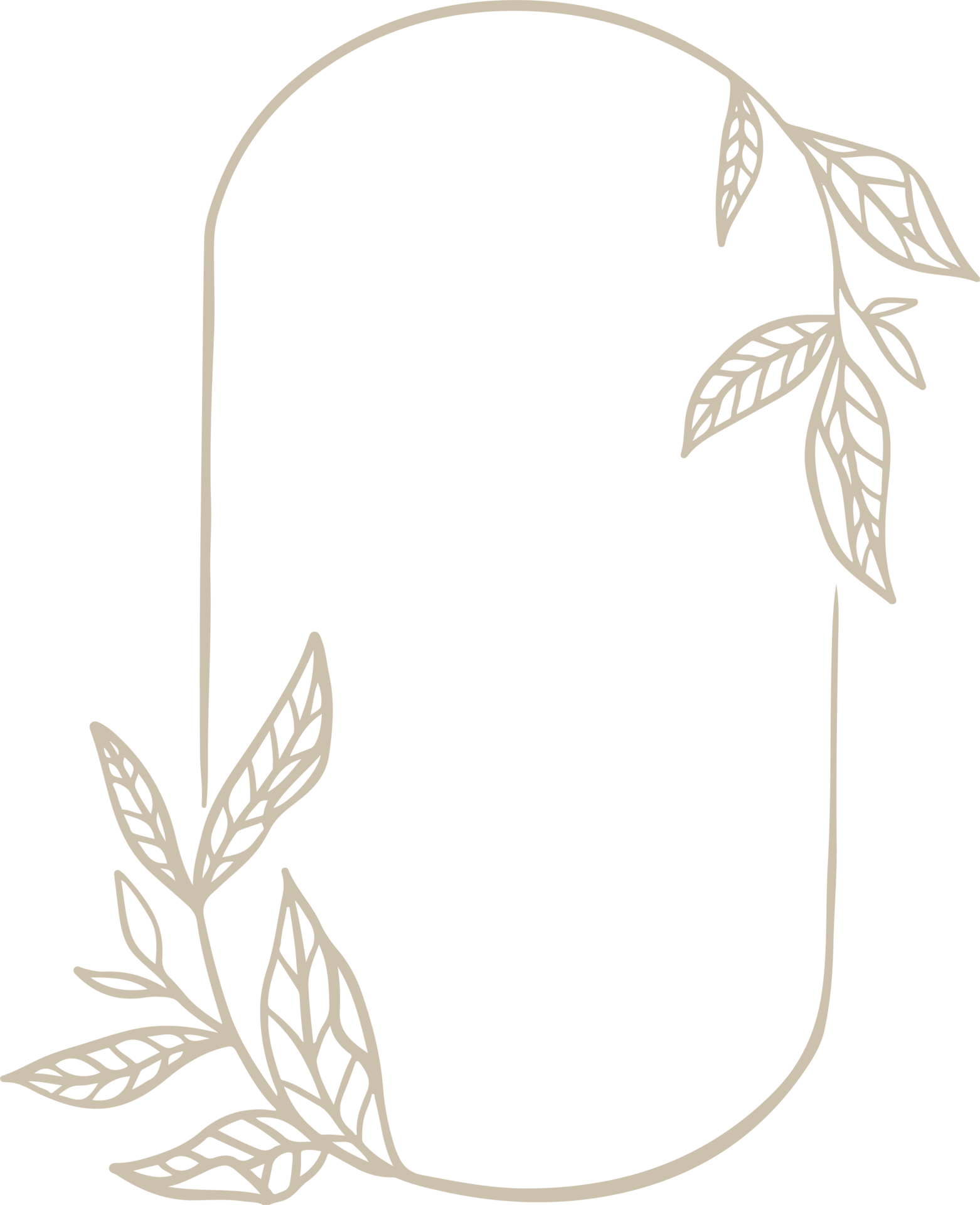 floral frames art 11675101 PNG