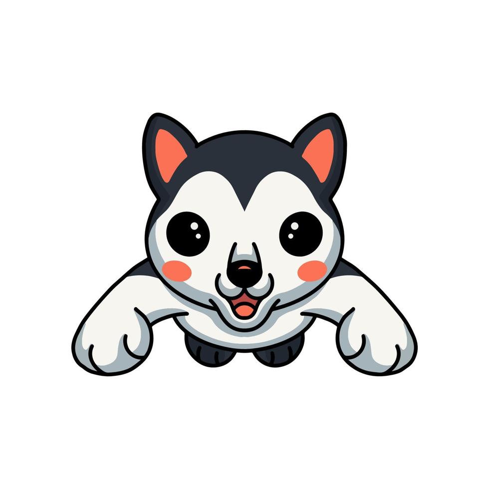 lindo pequeño perro husky dibujos animados saltando vector