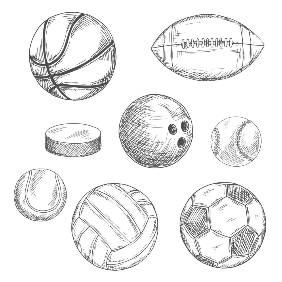 Sport balls and ice hockey puck sketches vector